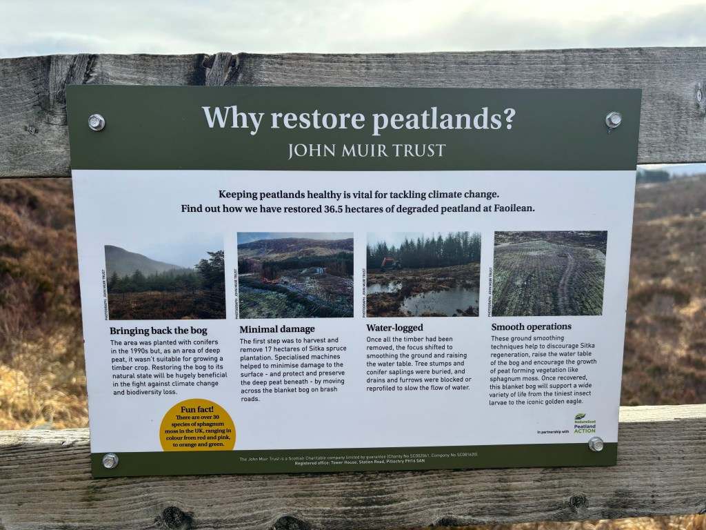 About Peatlands