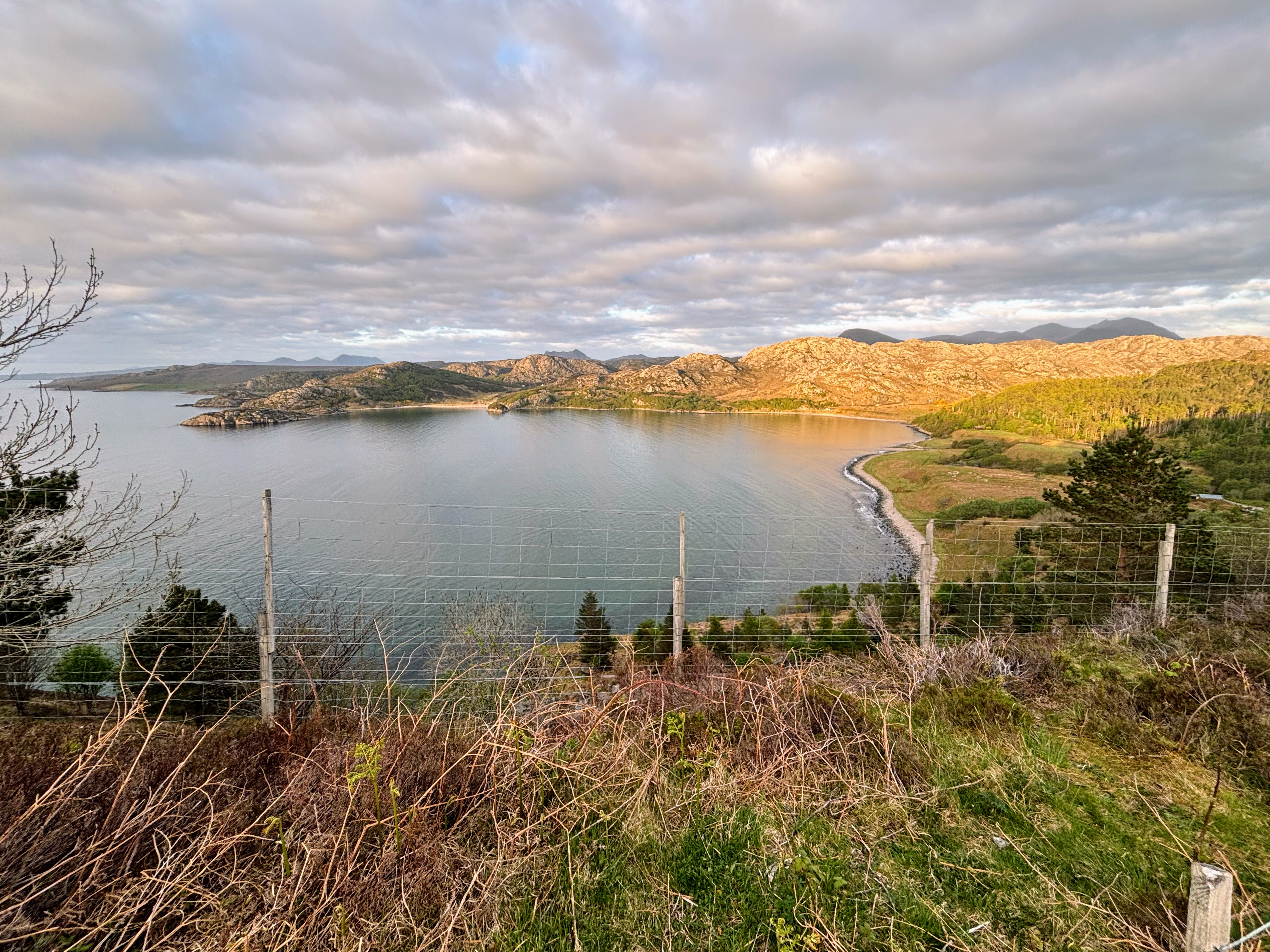 Big net 0, fast fingers 1