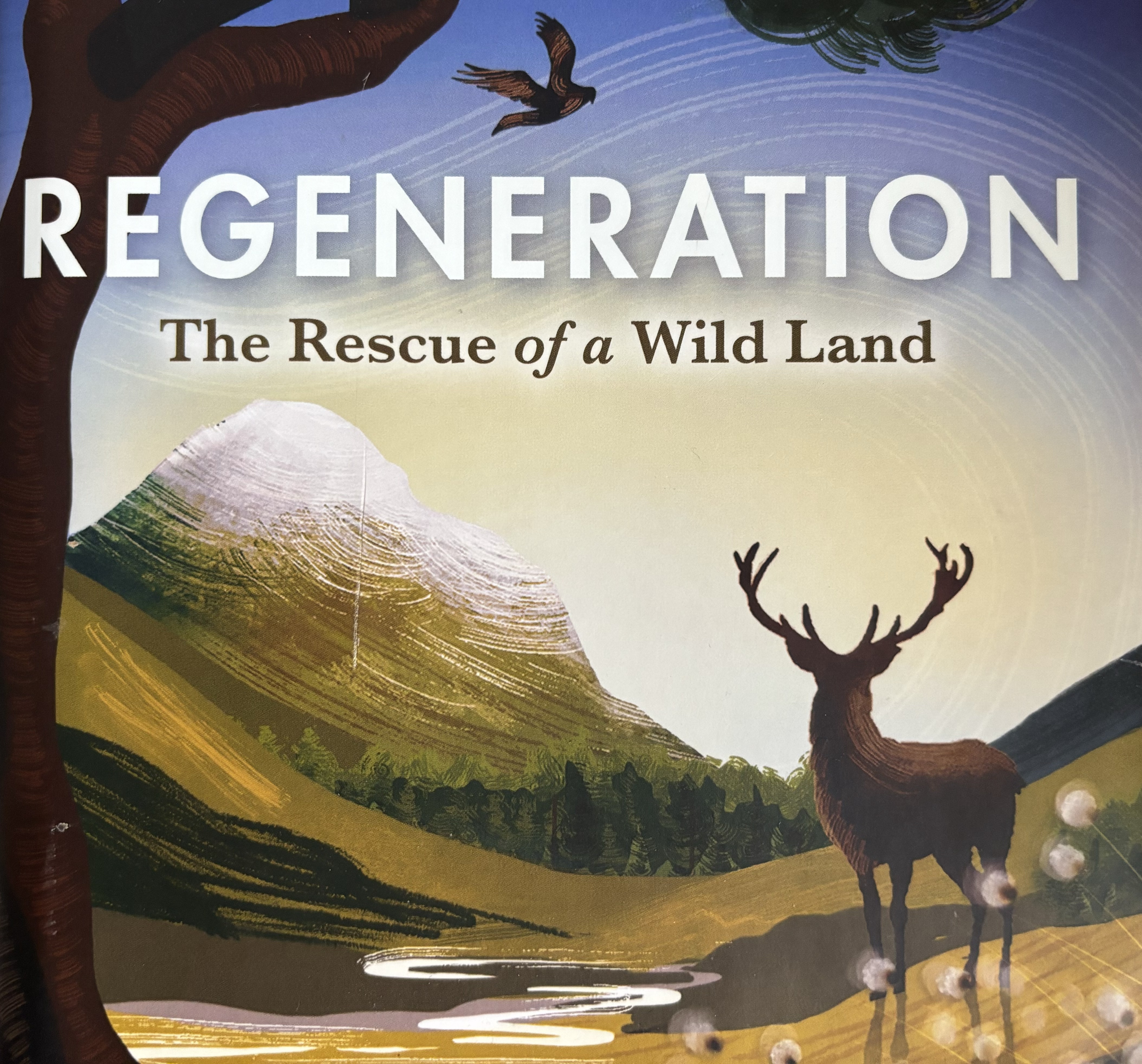 Scotland’s temperate rainforest